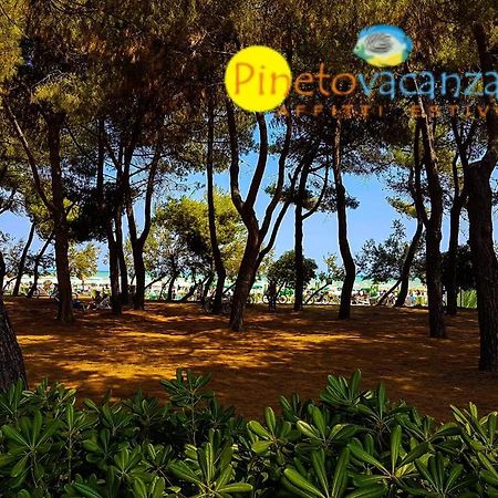Myconos C2 - Pineto Vacanza Exteriör bild