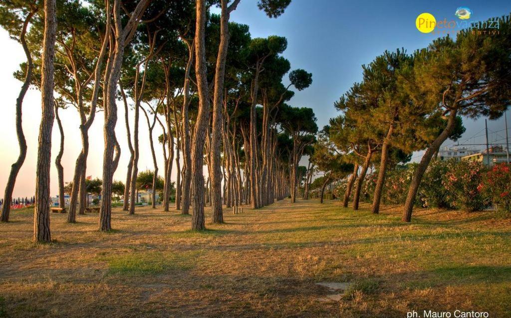 Myconos C2 - Pineto Vacanza Exteriör bild