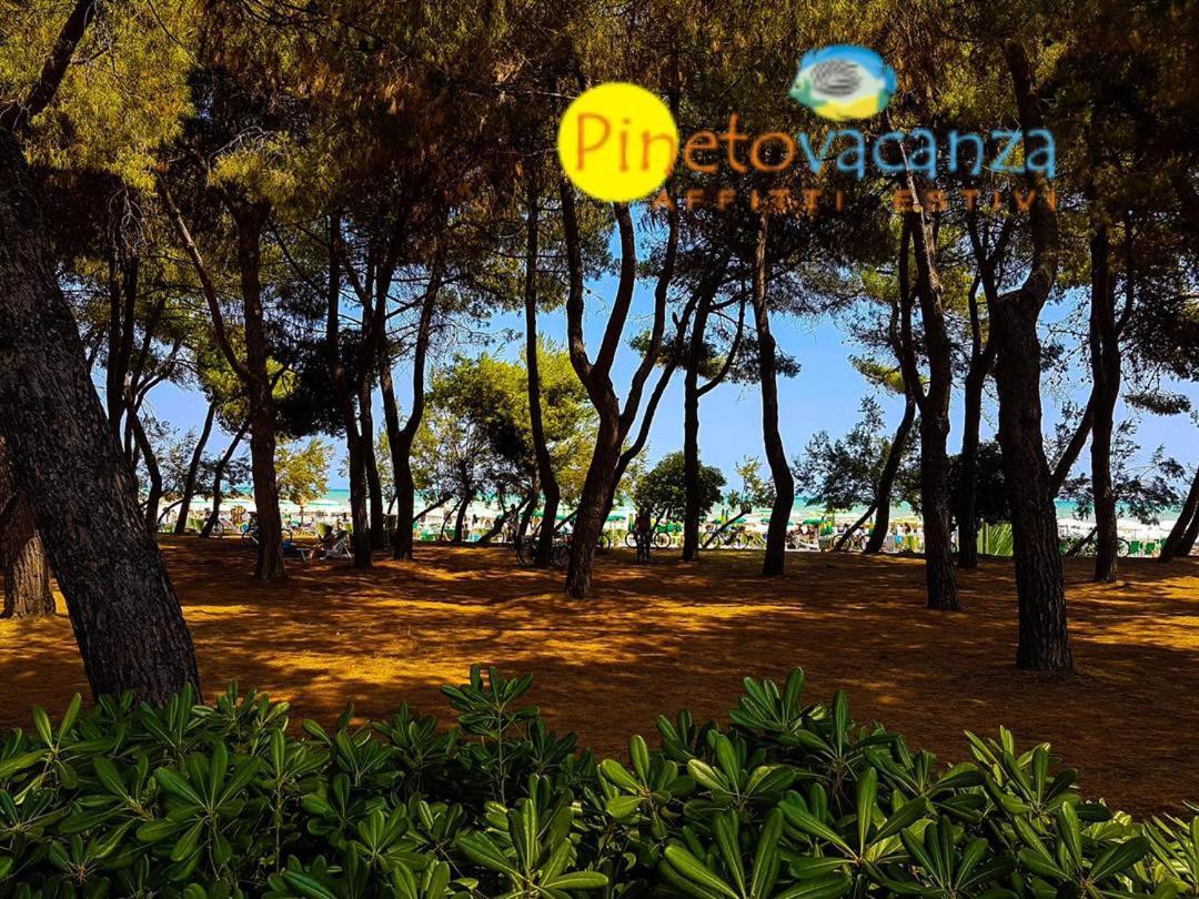 Myconos C2 - Pineto Vacanza Exteriör bild